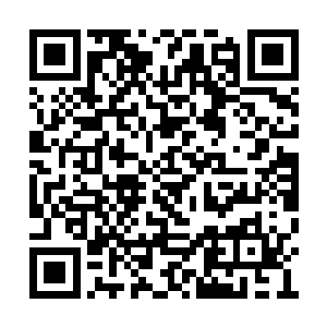 直到看不见禅蛇的身影后流墨墨才解开那道薄膜二维码生成
