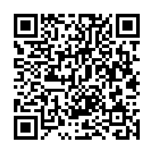 直到知道自己收买在苏凡内部的龙炎也失去了消息二维码生成