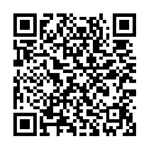 直到碰到其他两家顶尖宗门的弟子才打的轰轰烈烈二维码生成