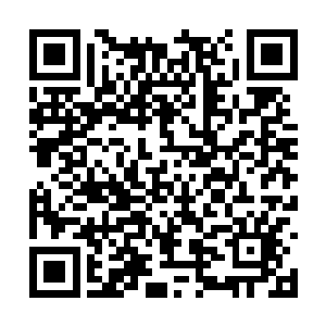 直到让这斩仙飞刀化为了一头通体燃烧着金色烈焰二维码生成