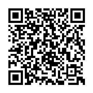 直到谢一鸣带着其余裟河七鬼进入左司府邸后边二维码生成