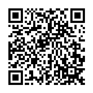 直到那司马仲达的大军依照我等的计划进入临江城之前二维码生成