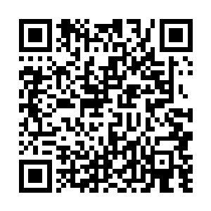 直径上千公里的地面就被他的大归明掌硬生生提了起来二维码生成