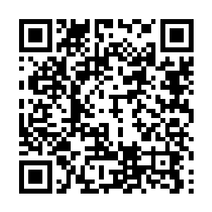 直接一次性付款自然就速度快的让两房主忙不过来了二维码生成