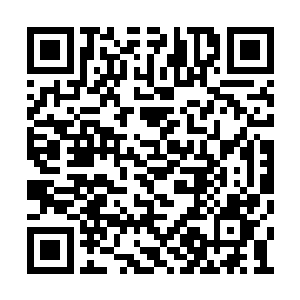 直接下达了中断跟佩图霍夫家族所有的合作项目二维码生成