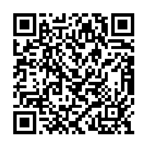 直接不声不响地从青藤的束缚效果中逃脱了出来二维码生成