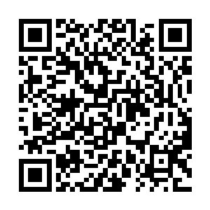 直接从哪些取出了一些大荒世界收获的顶级天材地宝二维码生成