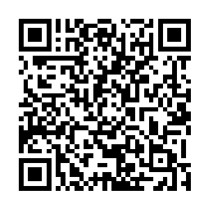 直接从空间皮袋里面掏出三根不同颜色的试管交给塔娜莎二维码生成