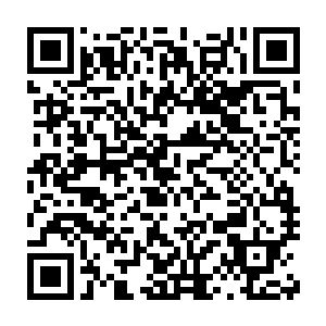 直接从随身的空间装备之中拿出了装在水晶盒中间的那瓶秘生药剂二维码生成