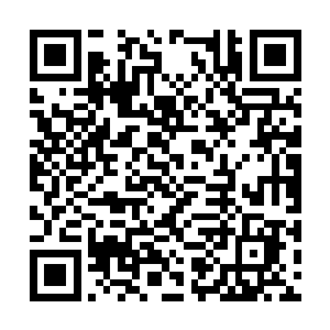 直接又将好不容易缓和下来一些的气氛给弄尴尬了二维码生成