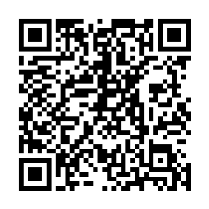 直接右手成肘直接狠狠的一击直接顶在天蝎圣骑的背部之上二维码生成
