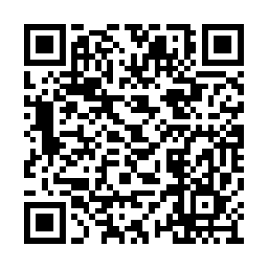 直接在那头摔倒的蛇颈陆龟脖子上开出一个大口二维码生成