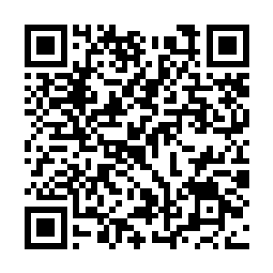 直接在青龙老母全部身家上又加上了两百万的价格二维码生成