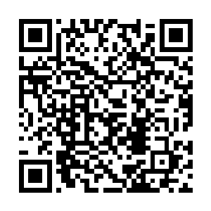 直接将整个世界都改造成那些强者适合生存的环境二维码生成
