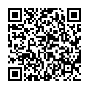 直接将虚空之中那绵延数万里的恐怖的劫云一口吞下二维码生成