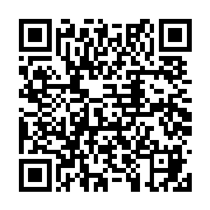 直接就可以签约或者带着这些人回你们那里看一看二维码生成