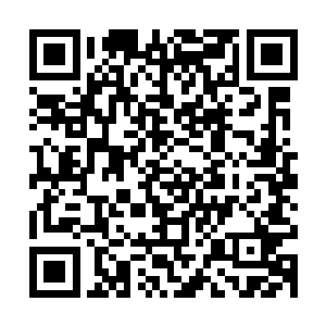 直接就把板子向着海里一扔自己直接就一个恶虎扑食这和上去了二维码生成