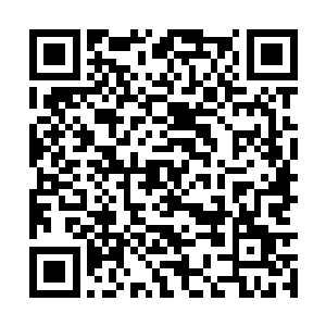 直接就用阳阳少爷研究的这个宝贝来对付这些家伙二维码生成