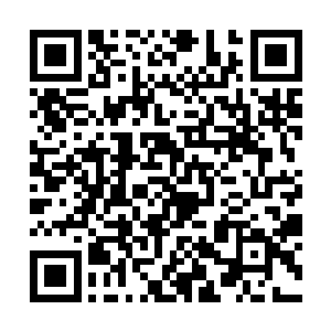 直接就脆弱不堪的破裂了……而那锤子却是去势不减二维码生成