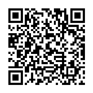 直接把目光转到了其余逃过一劫的八名元婴修士身上二维码生成