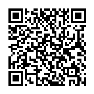 直接是将天马阁阁主的胸前给砸出了一个巨大的窟窿二维码生成