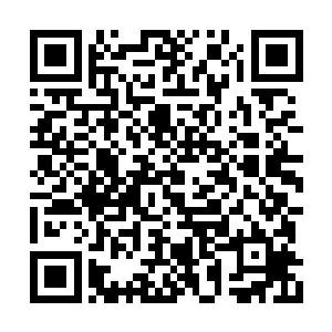 直接是将手中的黑色六眼鲤鱼给投进了喷泉池中二维码生成