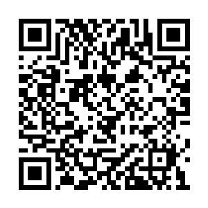 直接是将那些迎接过来的无上天骄给晾在了一边二维码生成