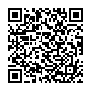 直接派出了女帝势力下最精锐的部队对咱们进行追杀二维码生成