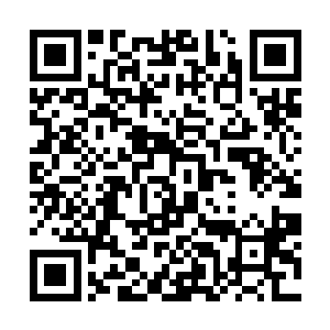 直接烤熟了一只一人多高的一截螃蟹腿放到了他面前二维码生成
