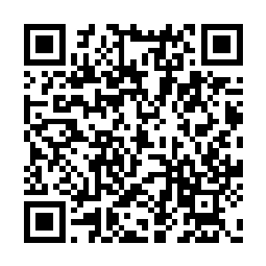 直接落到了和科络丝所在位置反方向的岩壁之上二维码生成