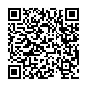 直接被紫涟漪猛然释放的红色匹练层层迅猛禁锢住了身体~二维码生成