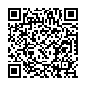 直接跌落了下来……口中更是惨烈无比的嚎叫着二维码生成