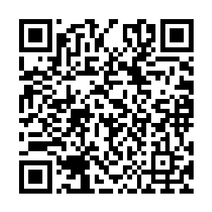 相信……此事没那么容易呀……这么多的极道强者二维码生成