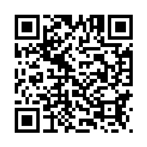 相信你们也不会喜欢太过于的油腻二维码生成