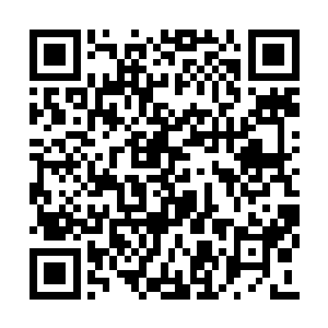 相信其他航空公司会非常愿意提供更诱人的职位二维码生成