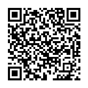 相信在整个寰宇天界还没有几个人敢不给我飘渺峰的面子二维码生成