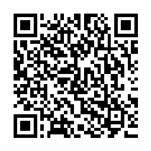 相信在未来的几个月第一批通过试验的药就会进入临床实验阶段二维码生成