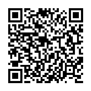 相信大家都已经对自己的实力有了多方面的认识二维码生成