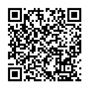 相信我一定能够寻找到一条原仙者和化仙者共存的道路二维码生成