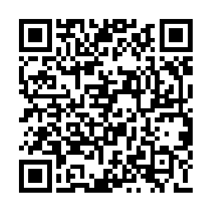 相信母后早已派了亲信在纳兰皇朝的国界旁等候二维码生成