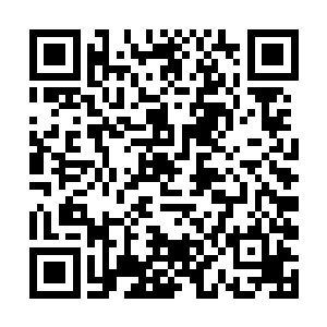 相信用不了几天墨菲斯那个家伙就会告诉我们真相的二维码生成