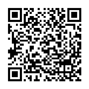 相信除了五大天帝皇室势力和其他的几个超级隐世门派之外二维码生成