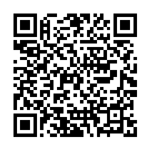 相关研究资料已经实时传输到了各位的晶脑之中二维码生成