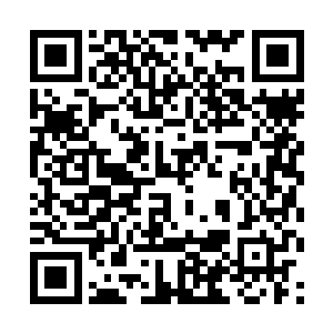 相反只是证明王铮强悍逆天之能和亚特兰蒂斯的强大二维码生成