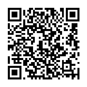 相反能成为胡莲祭司的寝侍是一件非常荣耀的事情二维码生成