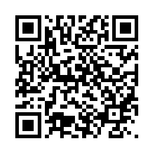 相当于现在劳伦正坐在虎鲸的脑袋上二维码生成