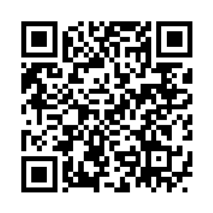 相比起初来时这里光秃秃的简陋模样二维码生成