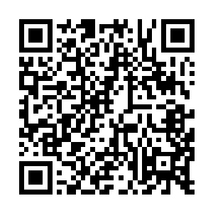 相貌非常普通的一名贵族少女双眼发亮的盯着剑尘二维码生成