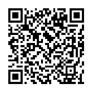 省检察院指示我们市检察院曾经调阅过这个案件二维码生成