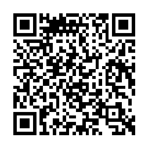 省计委的职责本来就是为下面的同志做好服务嘛二维码生成